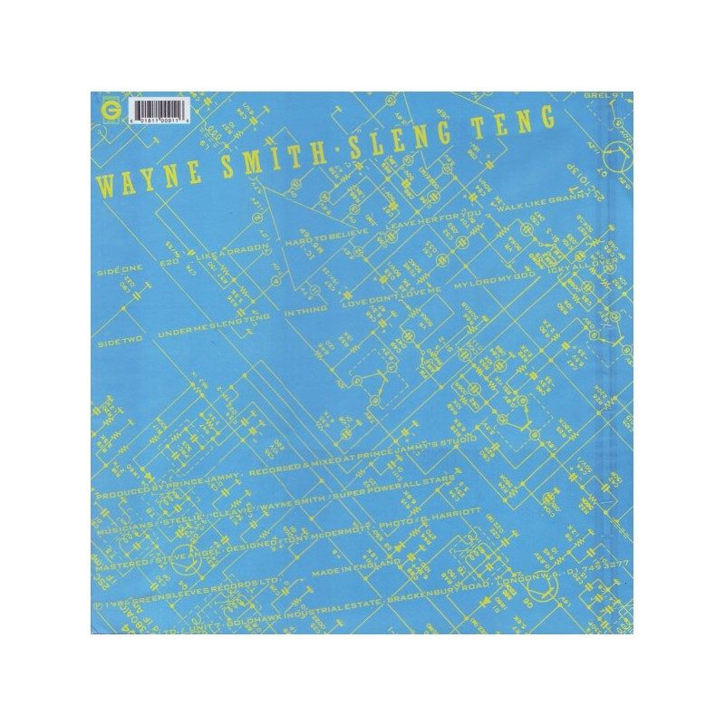 Ken2-Dspecial Sleng Teng 鎮座ness FNCY KEN2-DSPECIAL / SLENG TENG IN THE UG / BIRIBIRIBA - GLOCAL